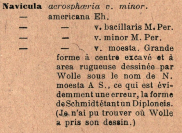 Naamericana Moesta  Originaltext