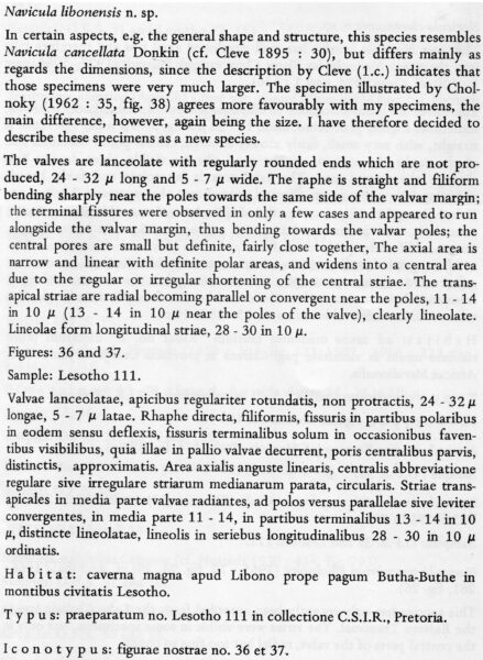 Nalibonens  Or Descr