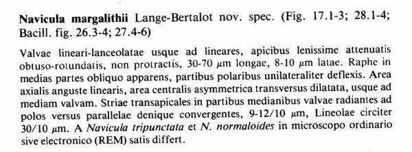 Navicula Margalithii Origdesc002