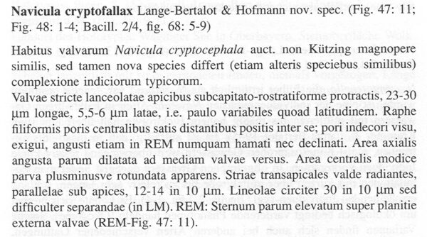 Ncryptofallax Origdesc