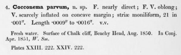 Page76  Smith1853  Cocconema Parvum  Smith1853