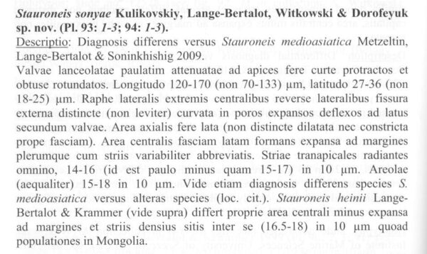 Ssonyae Origiesc