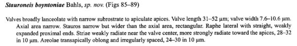 Stauroneisboyntoniae Origdesc001