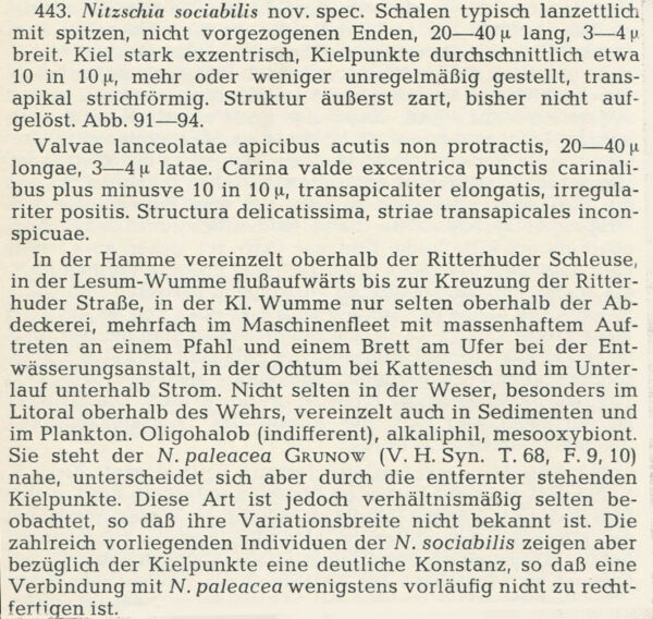 Ni Sociab Describe  Hustedt 1957 1