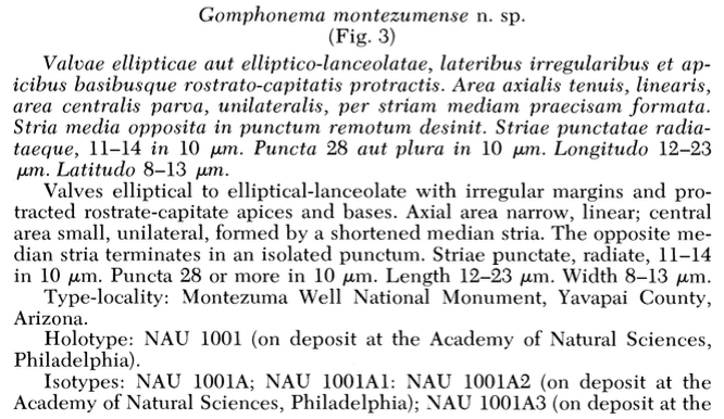 Gomph Montezum Orig Descript Czar Et  Blinn 1979