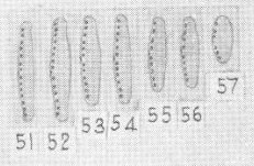 Sovereign 1958  Plate  Iv Innominata