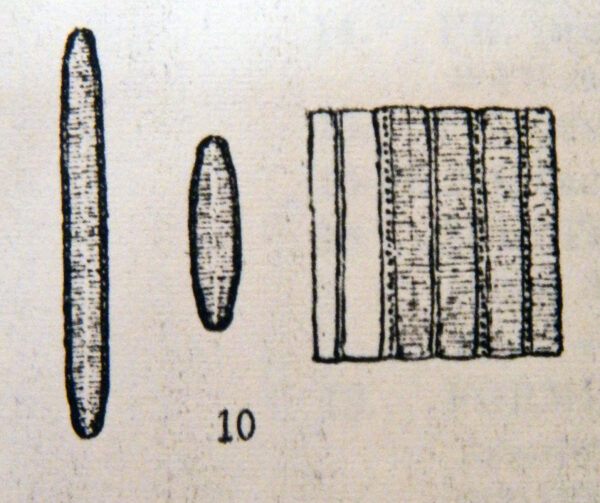 Fragilariforma nitzschioides orig illus